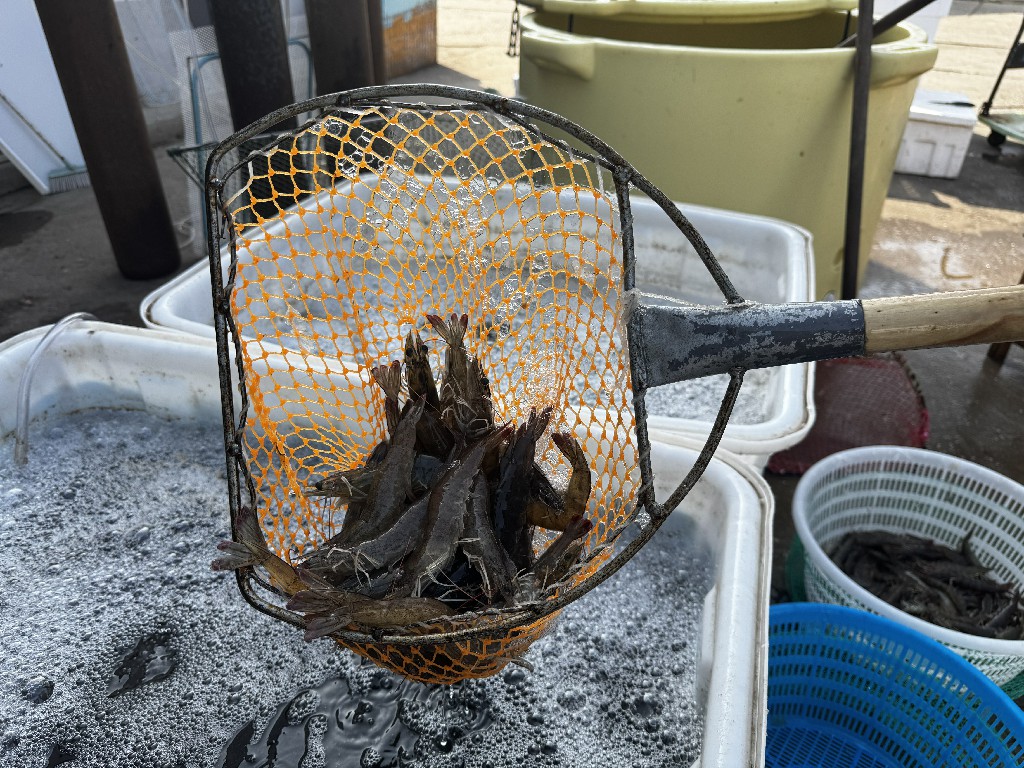 1758939314372086345.jpg 9451cf9e5a1914dbffee82b5eb64390d.jpg